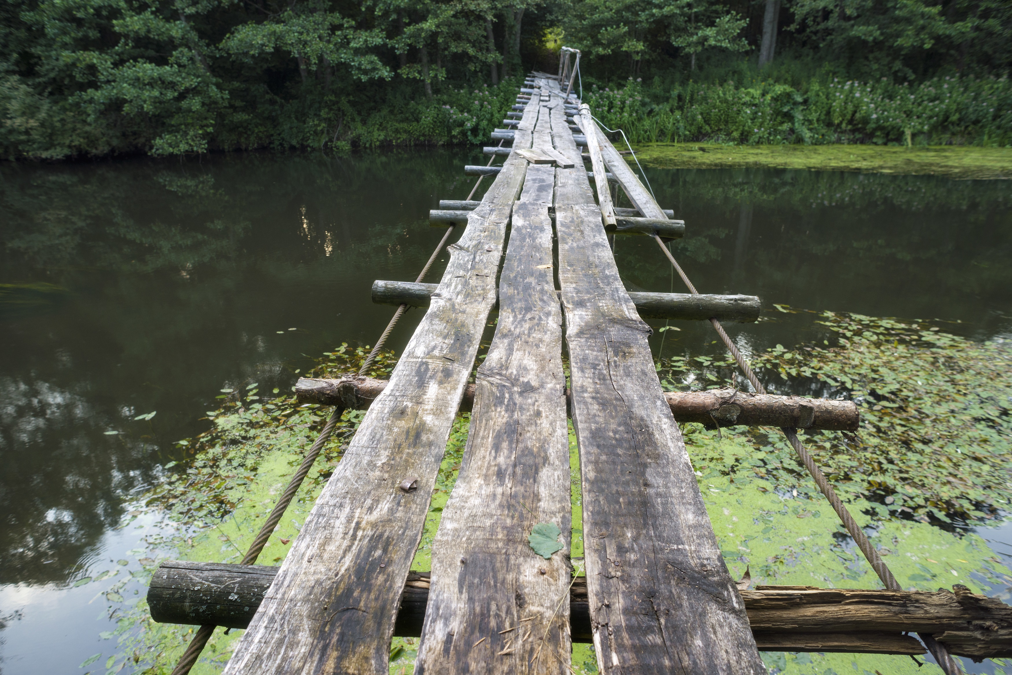 AdobeStock_109716837 50 percent